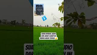 Suara Brewog  Dari Jarak Jauh Masih Terasa brewog soundkarnaval soundhoreg soundbalap