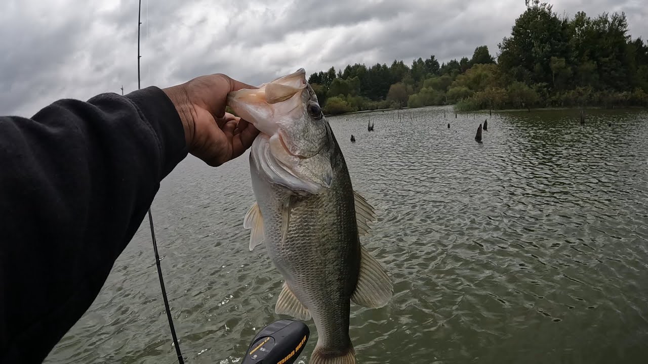 Early Fall Jig Fishing For BIG Bass (Pond Fishing)