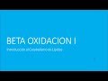 Beta Oxidacion 1