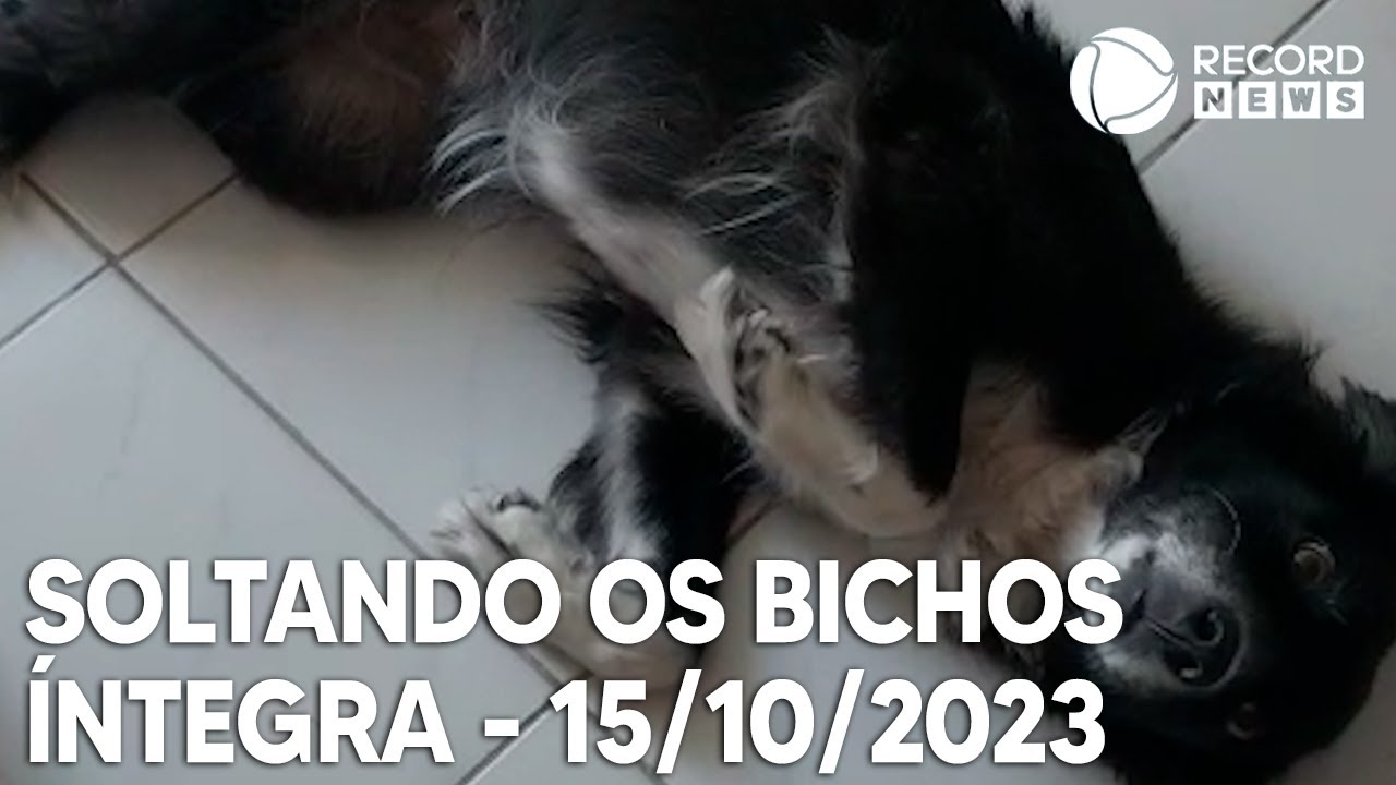 Soltando os Bichos – 15/10/2023