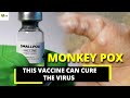 Monkey pox virus  this vaccine can cure monkey pox  explained  newshamster