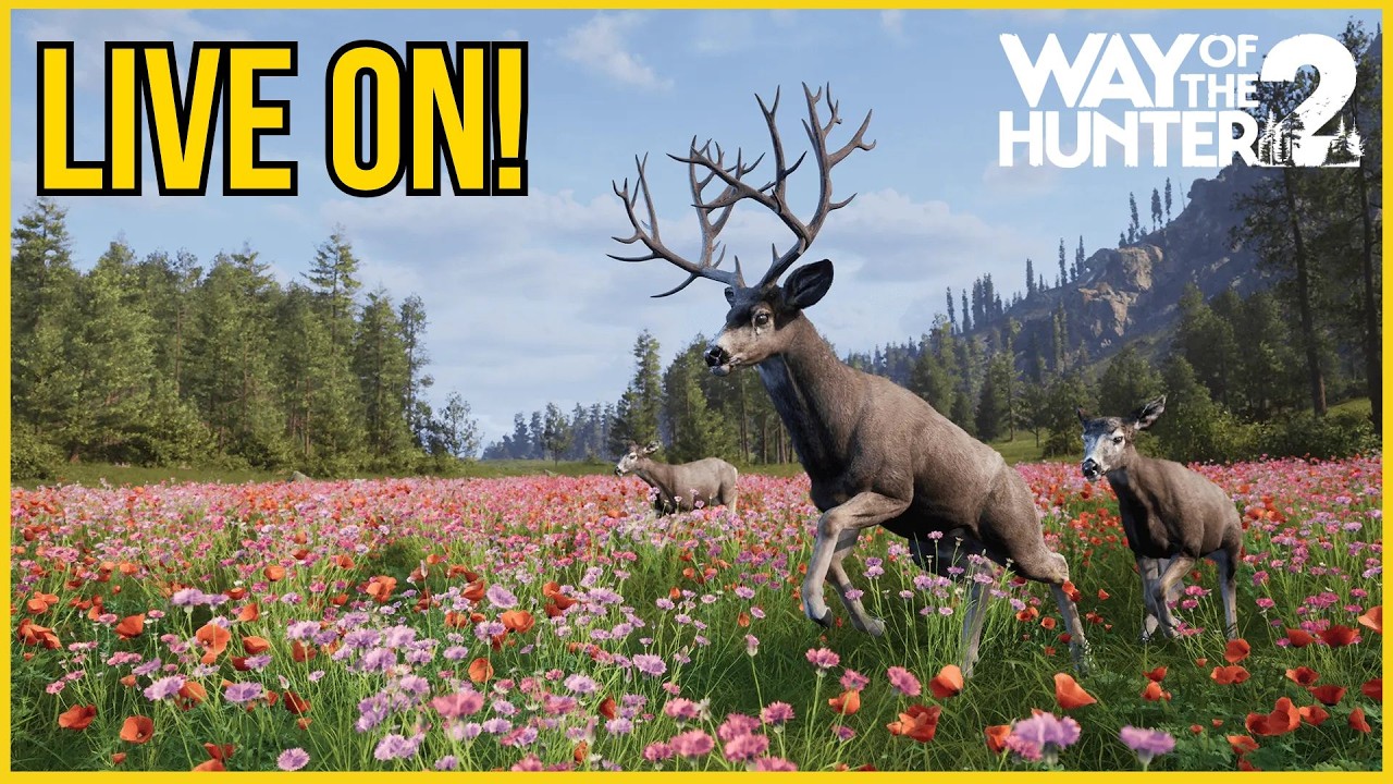 🔴LIVE ON! - WAY OF THE HUNTER 2 - !PIX para sua msg ser lida!