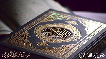 تلاوة روعة من سورة النمل كاملة بصوت رزكار محمد