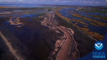 Upper Barataria Marsh Creation - 13-Mile Pipeline