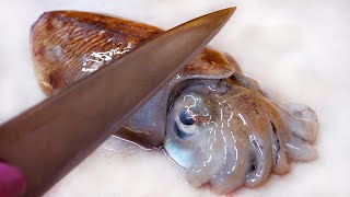 How to make raw cuttlefish - Squid sashimi \/ Korean street food