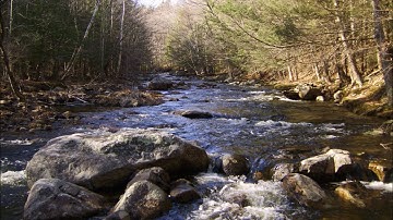 Improvisation #90 for Prophet 12 and Poly Evolver Keyboard