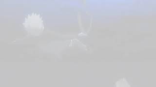 Spirits// happy and sad version //