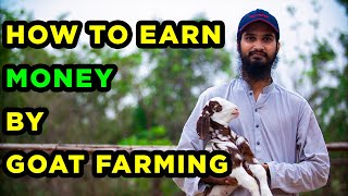How to Earn Money by Goats Farming at Bakra Eid 2022 | Is it PROFITABLE Business in Pakistan?