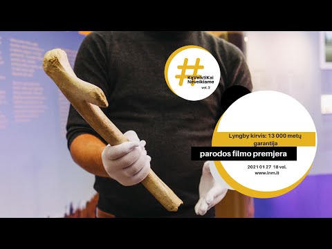 Video: Nacionalinio pilietinių teisių muziejaus istorija