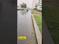 #in#amsterdam#beutifull#park#electrical#apartment#filmora#online#electricein