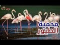 محمية الطيور بأزمير التركية محمية الطيور بأزمير التركية