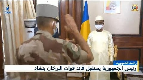 رئاسة الجمهورية - رئيس الجمهورية يستقبل قائد قوات البرخان بتشاد