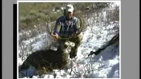 MossBack Mulies 2 Trailer