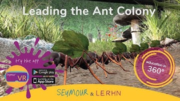 | 360 | VR | Microhabitats: Lead a Colony of Ants Through the Garden