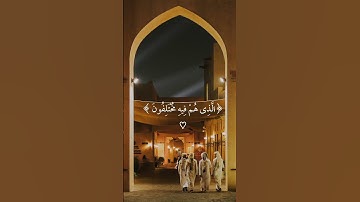 راحة نفسية تلاوة هادئة 🥰🤍 #islamic #islam #تلاوة_خاشعة #تلاوة_هادئة