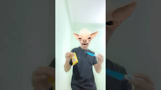 Bangaara trendingshorts funnyface a133