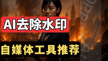 2025自媒体神器推荐｜AI一键去除视频/图片水印+字幕+背景｜4款免费去水印工具实测对比（WatermarkRemover / Pixelbin / VMake / HitPaw）