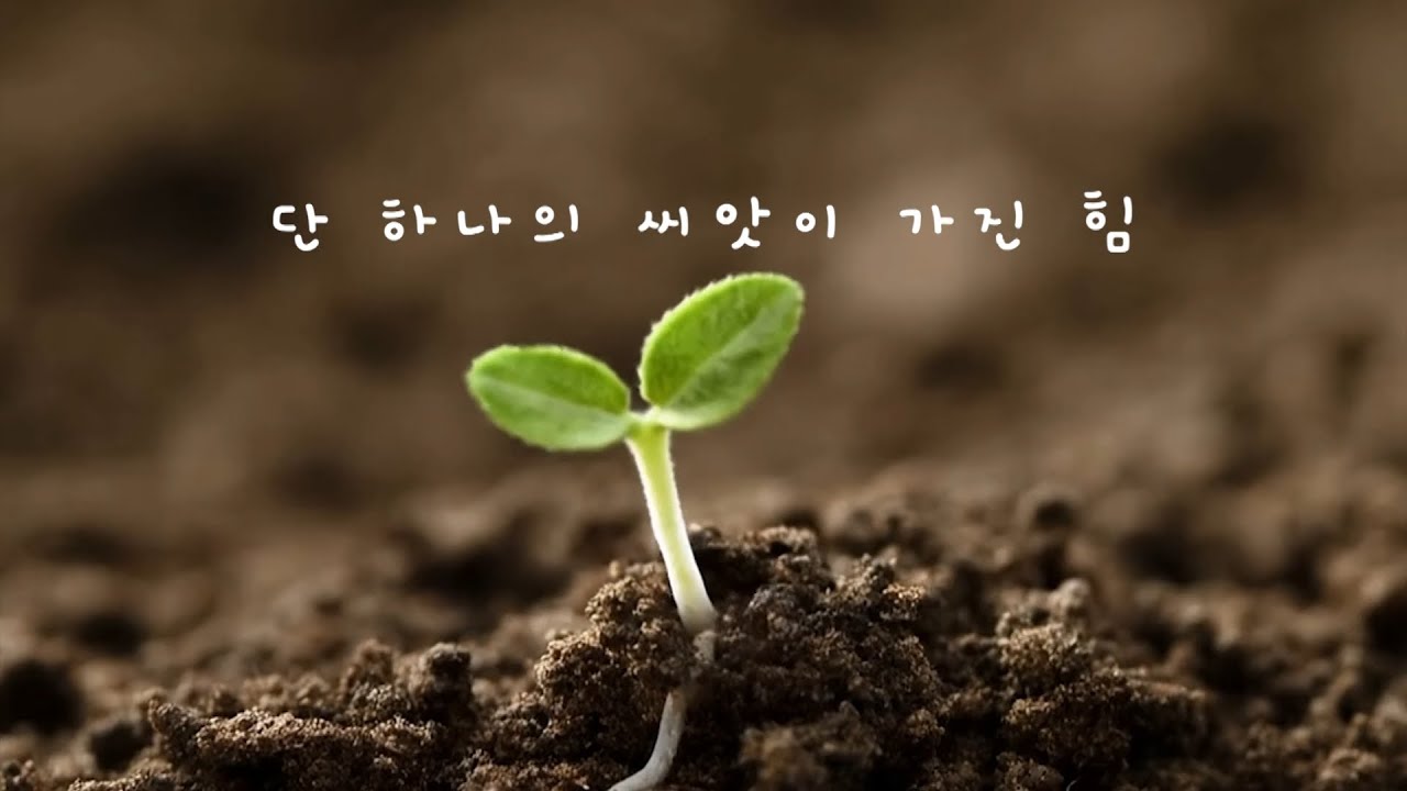 지금보다는 미래가 기대되는 씨앗을 심어온 2025년 WEPC는 행복했습니다.