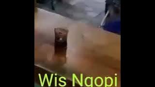 Video Lucu - Udah ngopi kok tetep ngantuk | Cocofun
