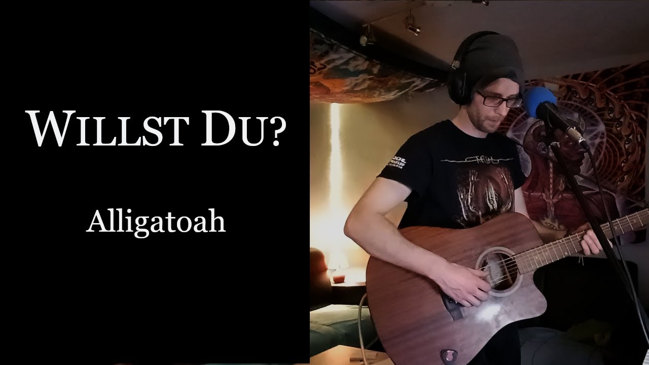 Alligatoah Willst Du Lyrics