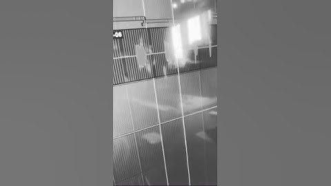 Snippet of a new NF song
