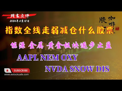 指数全面走弱 减仓什么股票 能源 金属 黄金板块逐步止盈 个股分析 DIS OXY AAPL NVDA NEM SNOW 【视频第645期】 04/12/2024