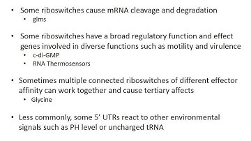 Riboswitch Screencast