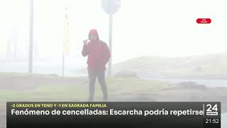 Fenómeno de cencelladas: Escarcha podría repetirse | 24 Horas TVN - Red Maule