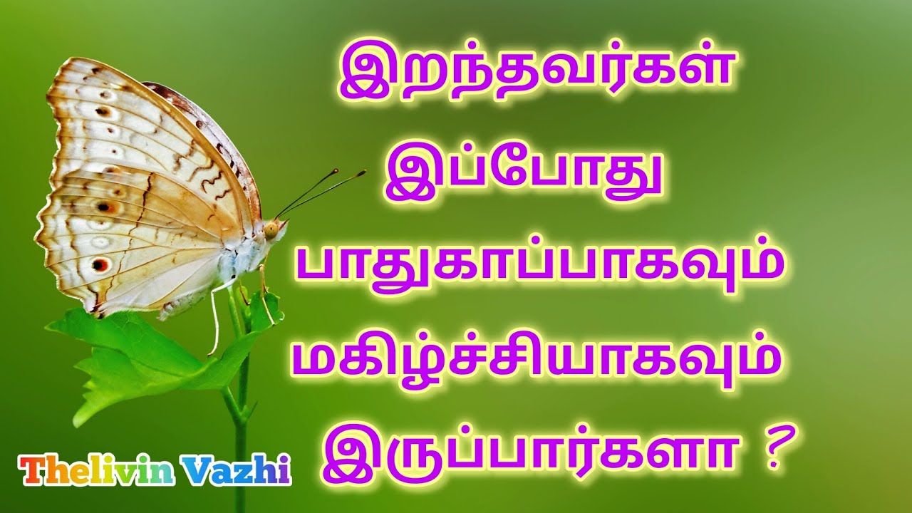இறந்தவர்கள் இப்போது பாதுகாப்பாகவும் மகிழ்ச்சியாகவும் இருப்பார்களா?