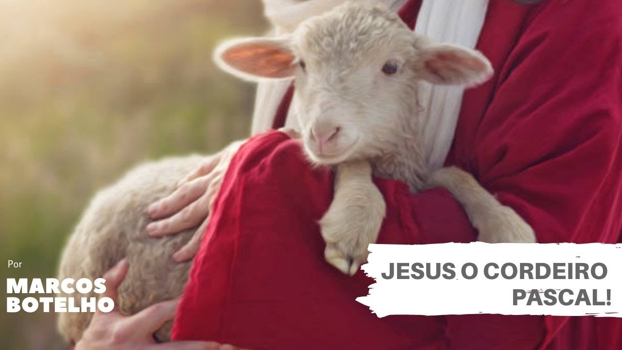 Jesus o cordeiro pascal! YouTube Jesus o cordeiro pascal! YouTube