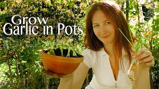 Want a garden but live in the city? let me show you how to grow garlic
greens and many other vegetables pots. leaves quickly are perfect f...