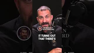 How Much Does Really Take To Form A Habit Andrew Huberman