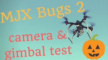 MJX Bugs 2 B2W: Will it fly modded with gimbal, action camera and landing gear?