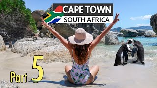 Swimming with Penguins in Cape Town South Africa | Land of African Penguins in Simon's Town