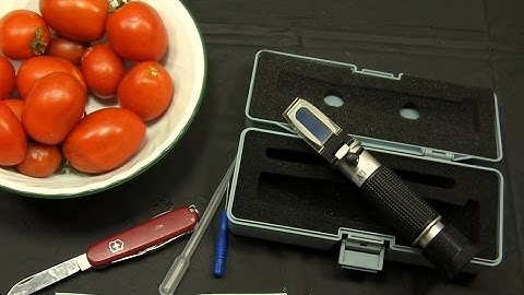 Check Your Growing Plants, Fruits, and Vegetables With a Handheld Degrees Brix Refractometer.