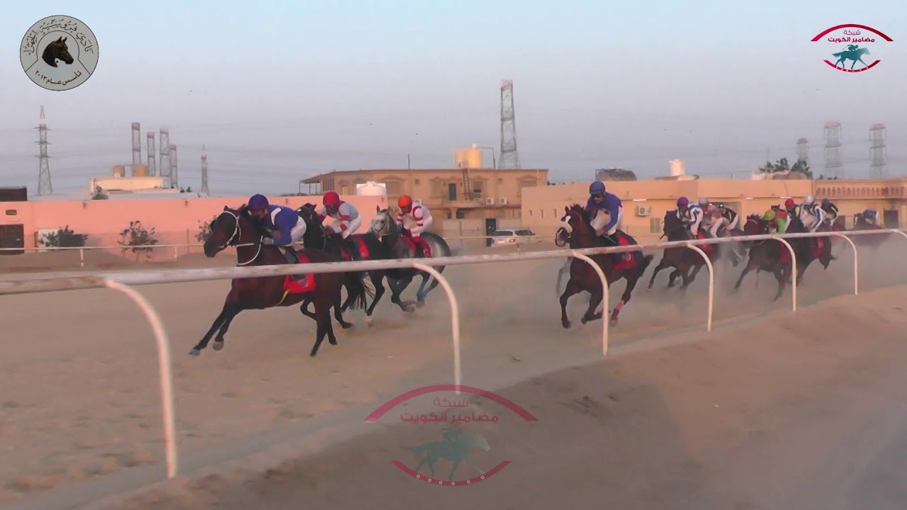 ديجور لـ أسطبل الزامل وابوجحوم