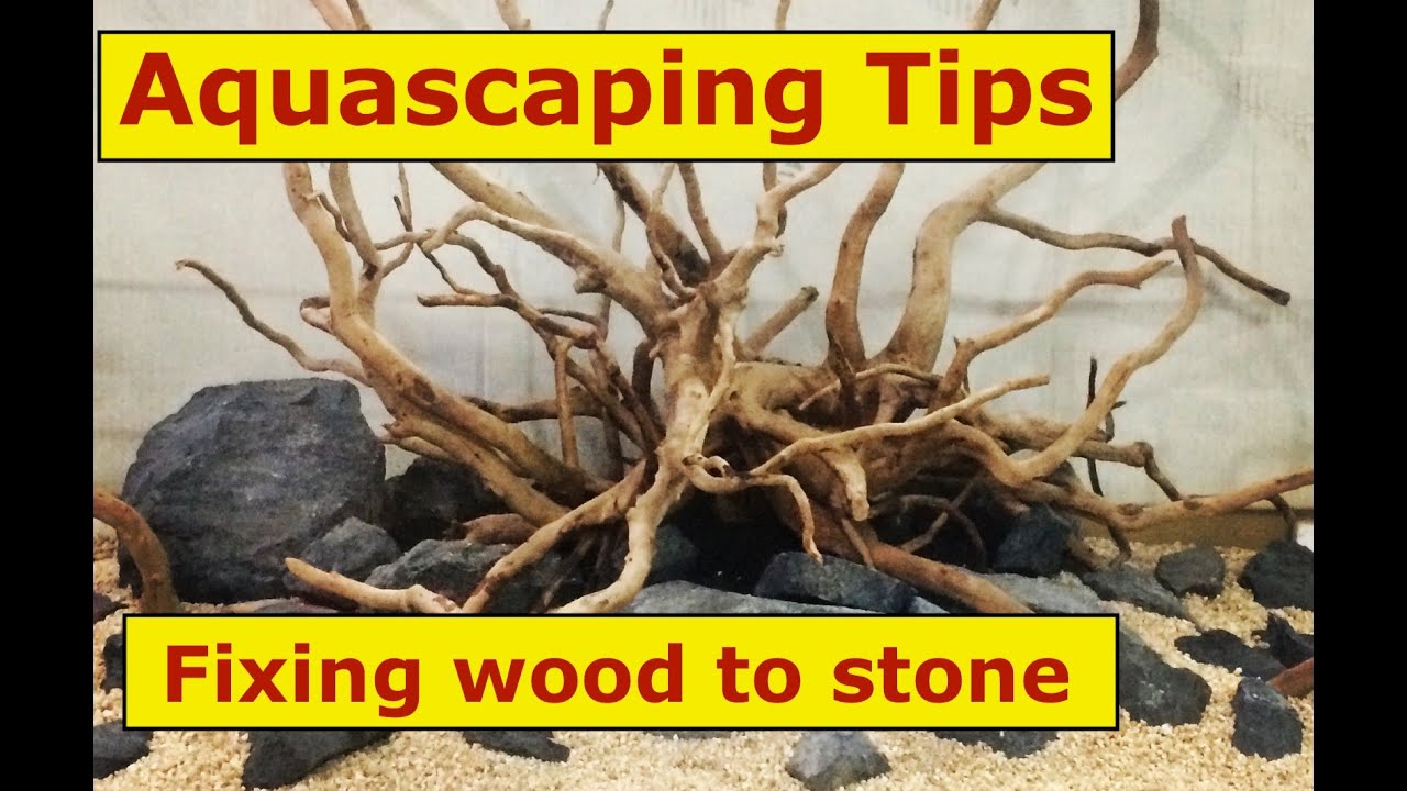 How to attach wood to stone in Planted Aquarium? Aquascaping Tips 