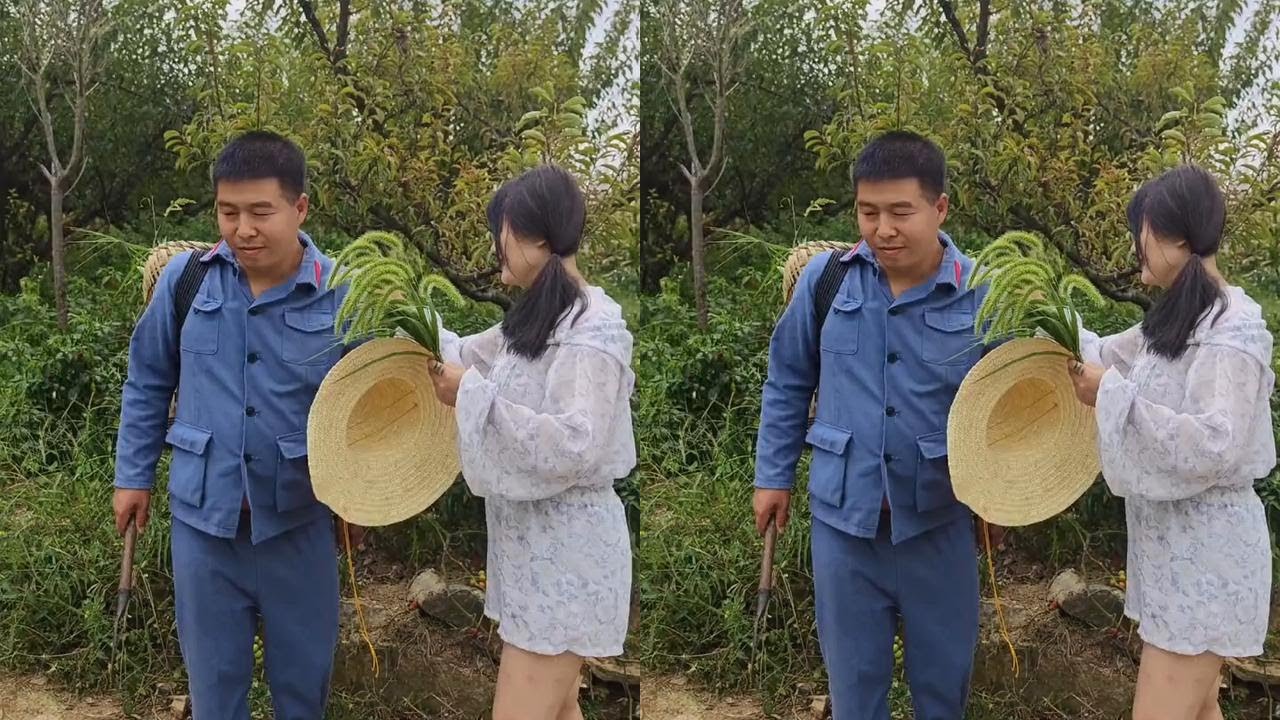 星哥催泪短剧：人间真情暖人心