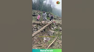 Teamwork and Strength: Moving Logs for a Building Project #hardwork #collaboration #rural life
