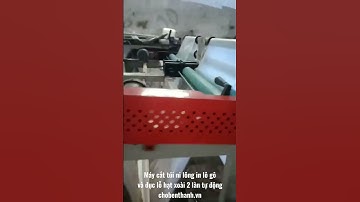 Máy cắt túi ni lông in lô gô và đục lỗ hạt xoài 2 làn tự động.