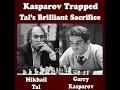 Mikhail tal vs garry kasparov 1978  wow  tal trapped kasparov