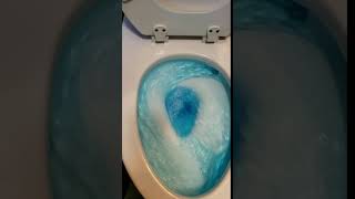 20191229 093118 Toto Drake Duel Flush Toilet 1.28 Gal