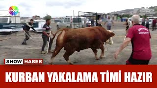 Kaçan Kurbanlıklara Onlar Müdahale Edecek