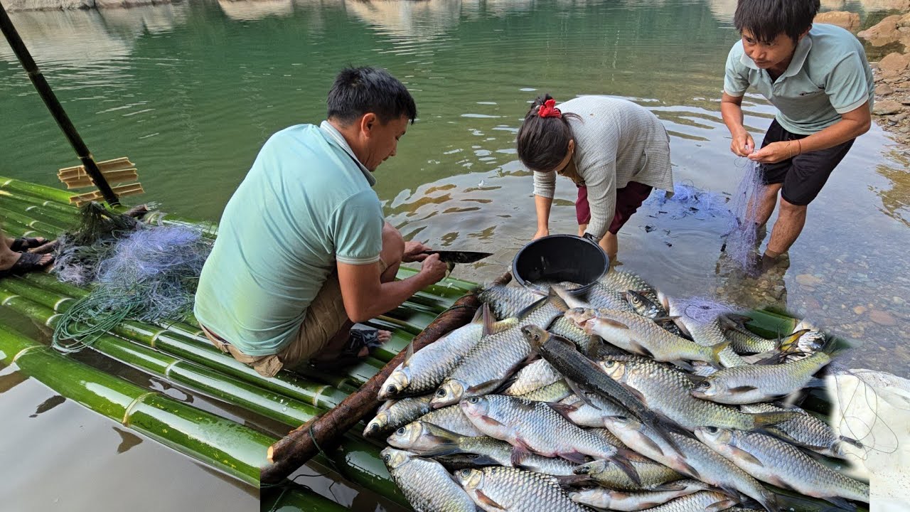 tseev ntses ua noj yuav rov mus tsev 27/1/2025