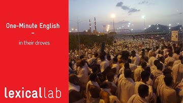 ONE-MINUTE ENGLISH: in their droves LEARN WITH LEXICAL LAB