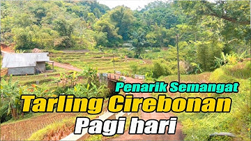 TARLING PANTURA CIREBONAN ENAK DIDENGAR  SEMANGAT KERJA PAGI HARI