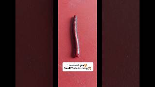 innocent guy 😀 #tiny #creatures #cute #insects #fypシ #funnyanimals #funny #viralshort #cute #bug