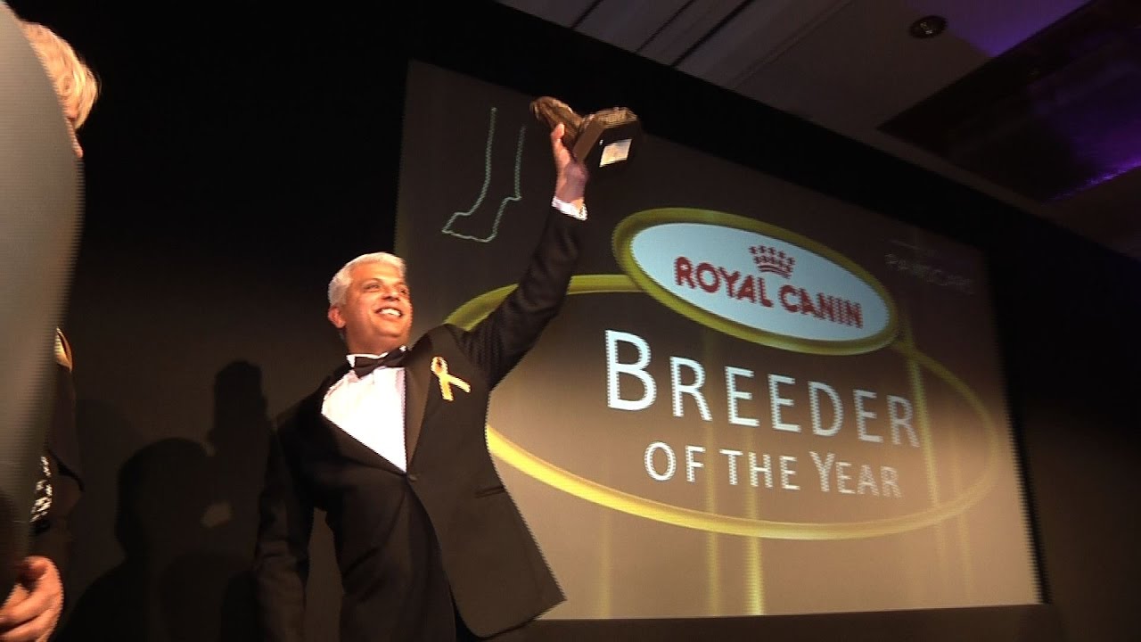 The Pawscars Awards Ceremony 2016 - Peek A Boo Trust crufts winner 2017