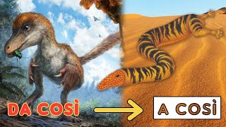 Come sarebbero i DINOSAURI se NON si fossero estinti