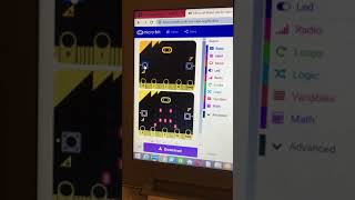 Celebrity Connect 2 microbits through radio Profile